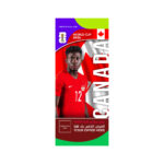 FIFA World Cup Branding Roof Hanging Flag W/PIPE-CANADA
