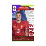 FIFA World Cup Branding Roof Hanging Dangler CZECHIA