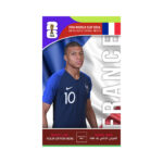 FIFA World Cup Branding Roof Hanging Dangler FRANCE