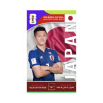 FIFA World Cup Branding Roof Hanging Dangler JAPAN
