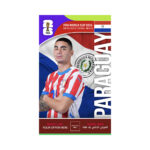 FIFA World Cup Branding Roof Hanging Dangler PARAGUAY