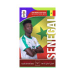 FIFA World Cup Branding Roof Hanging Dangler SENEGAL