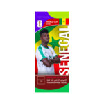 FIFA World Cup Branding Roof Hanging Flag W/PIPE-SENEGAL