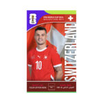 FIFA World Cup Branding Roof Hanging Dangler SWITZERLAND