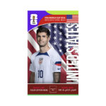 FIFA World Cup Branding Roof Hanging Dangler USA
